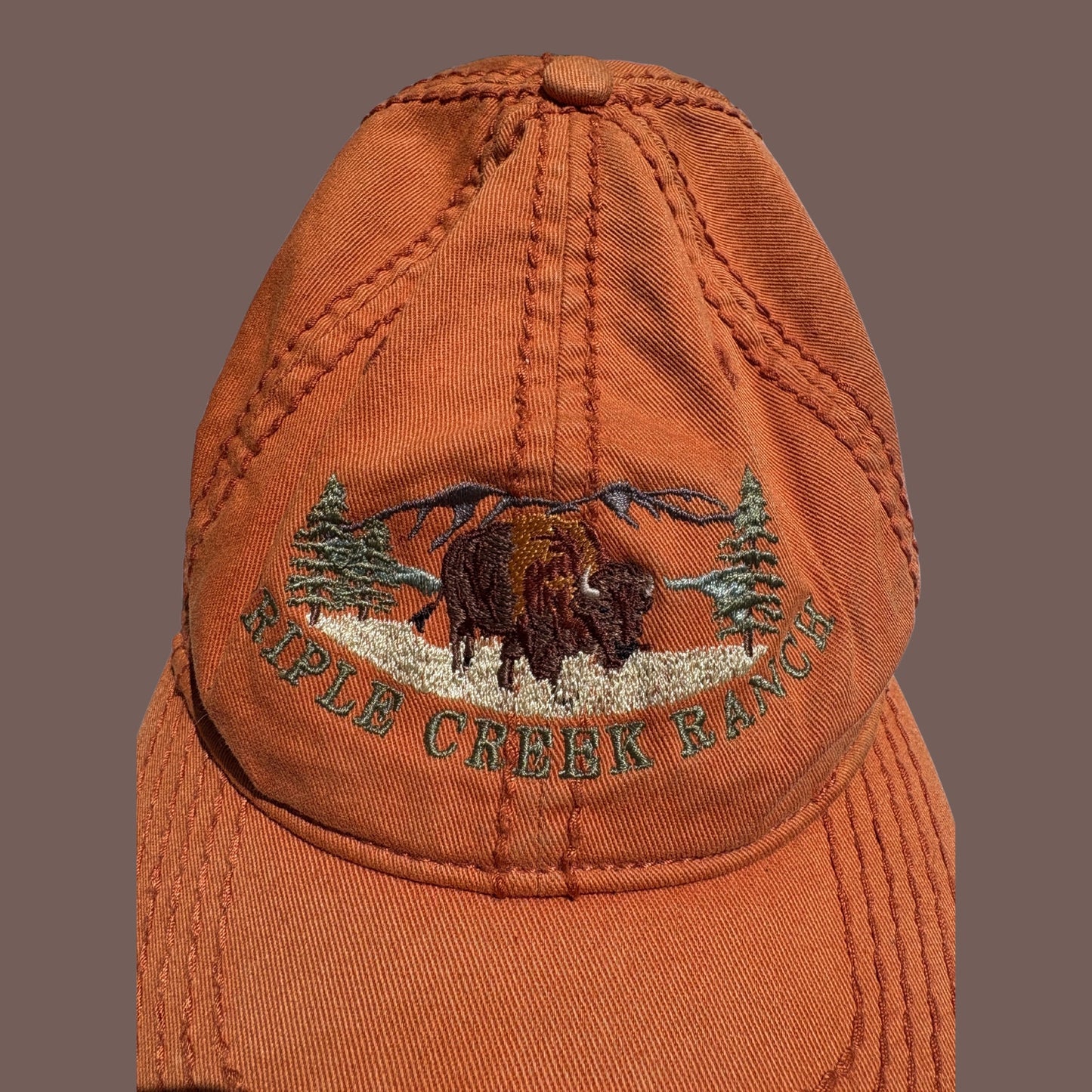 Vintage Ouray Bison Embroidered Dad Hat – Rustic Western Ranch