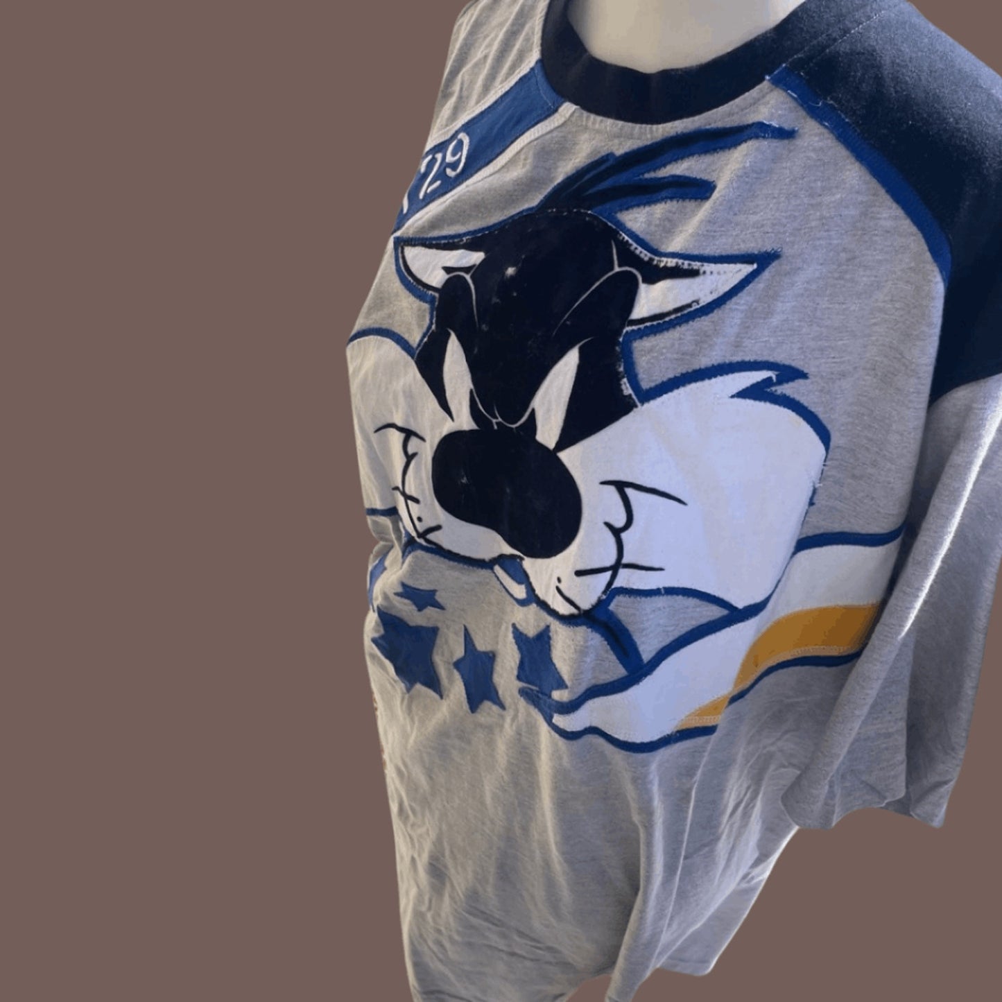 Vintage Lot 29 Sylvester Graphic T-Shirt – Y2K Cartoon Streetwear