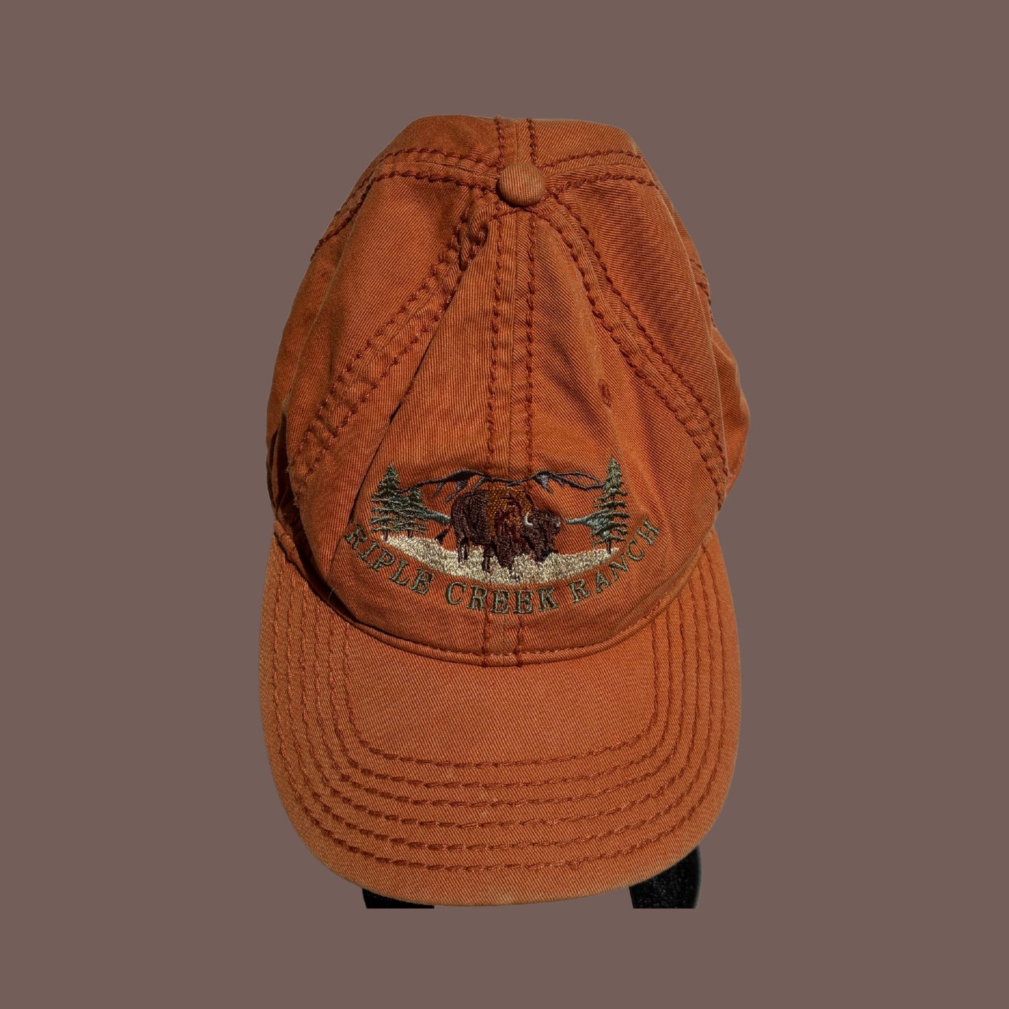 Vintage Ouray Bison Embroidered Dad Hat – Rustic Western Ranch