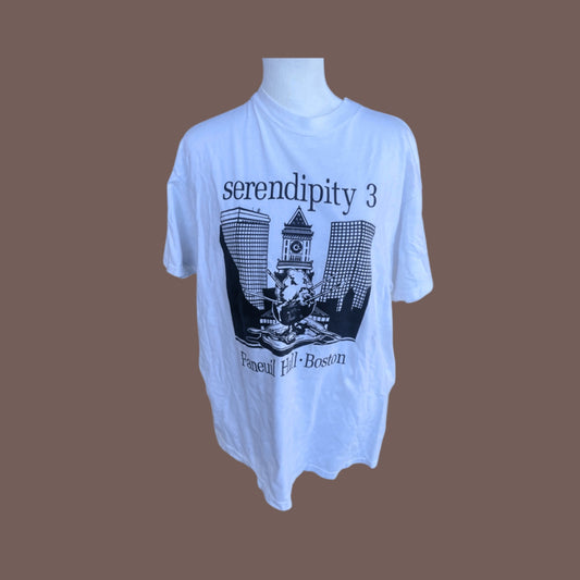 Vintage Hanes Serendipity 3 Boston Graphic Tee – 90s Tourist-Core