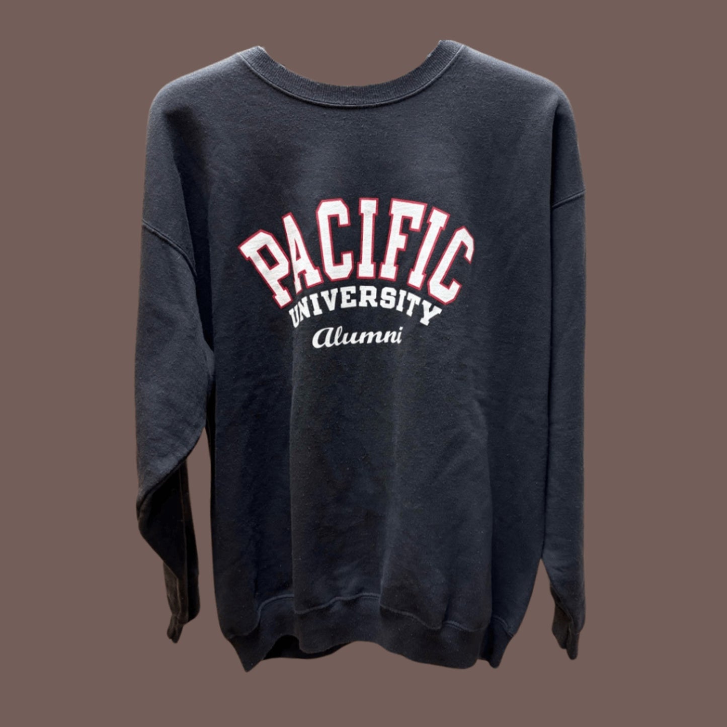 Vintage Champion Pacific University Sweatshirt – Y2K Collegiate
