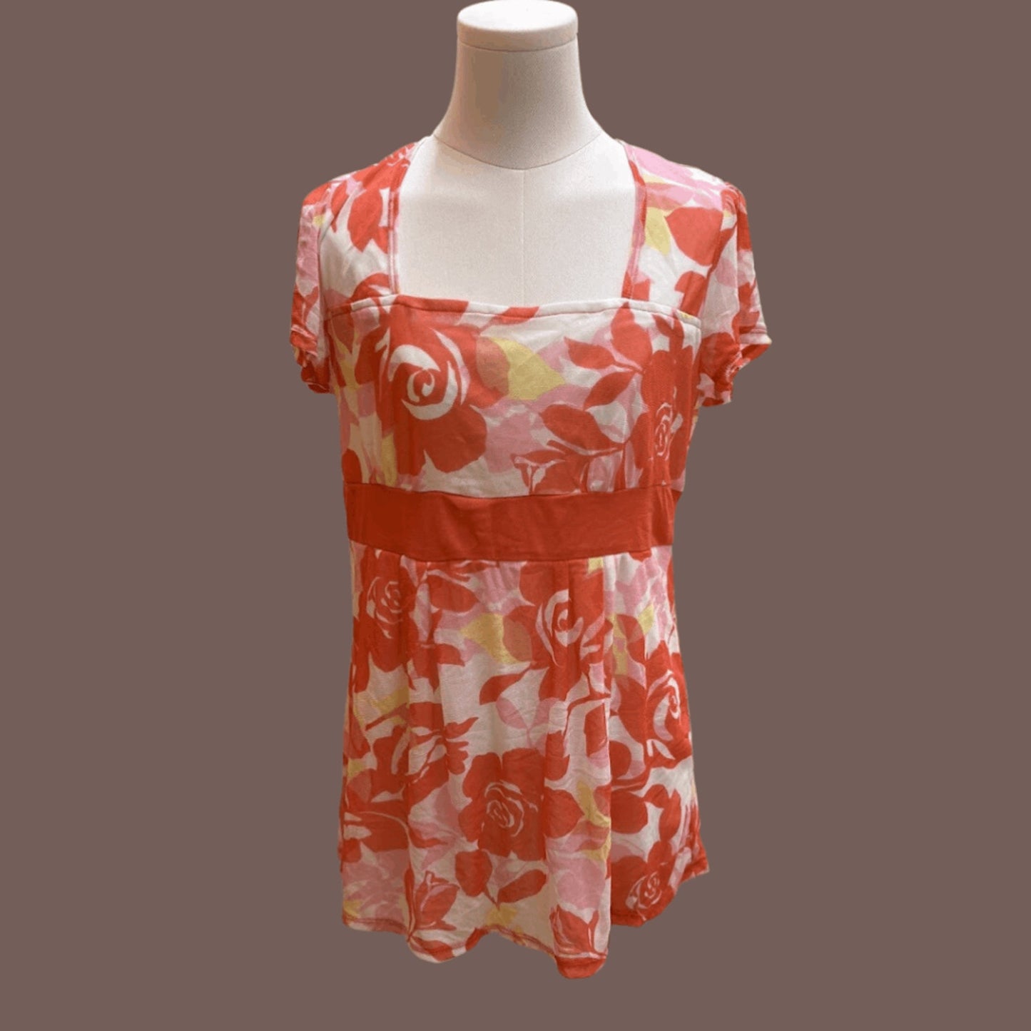 Vintage New York & Company Mesh Empire Waist Top – Y2K Floral Femme