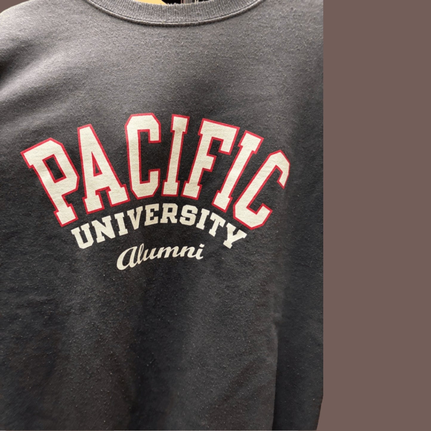 Vintage Champion Pacific University Sweatshirt – Y2K Collegiate