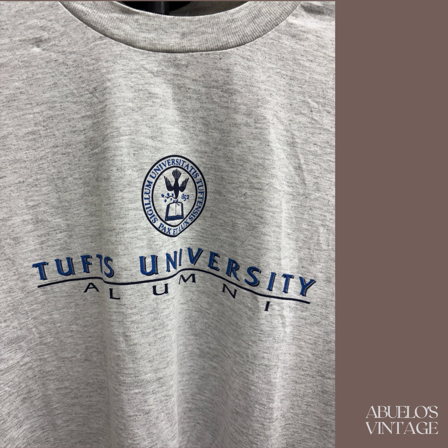 Vintage Champion Tufts University Alumni T-Shirt – 90s Collegiate