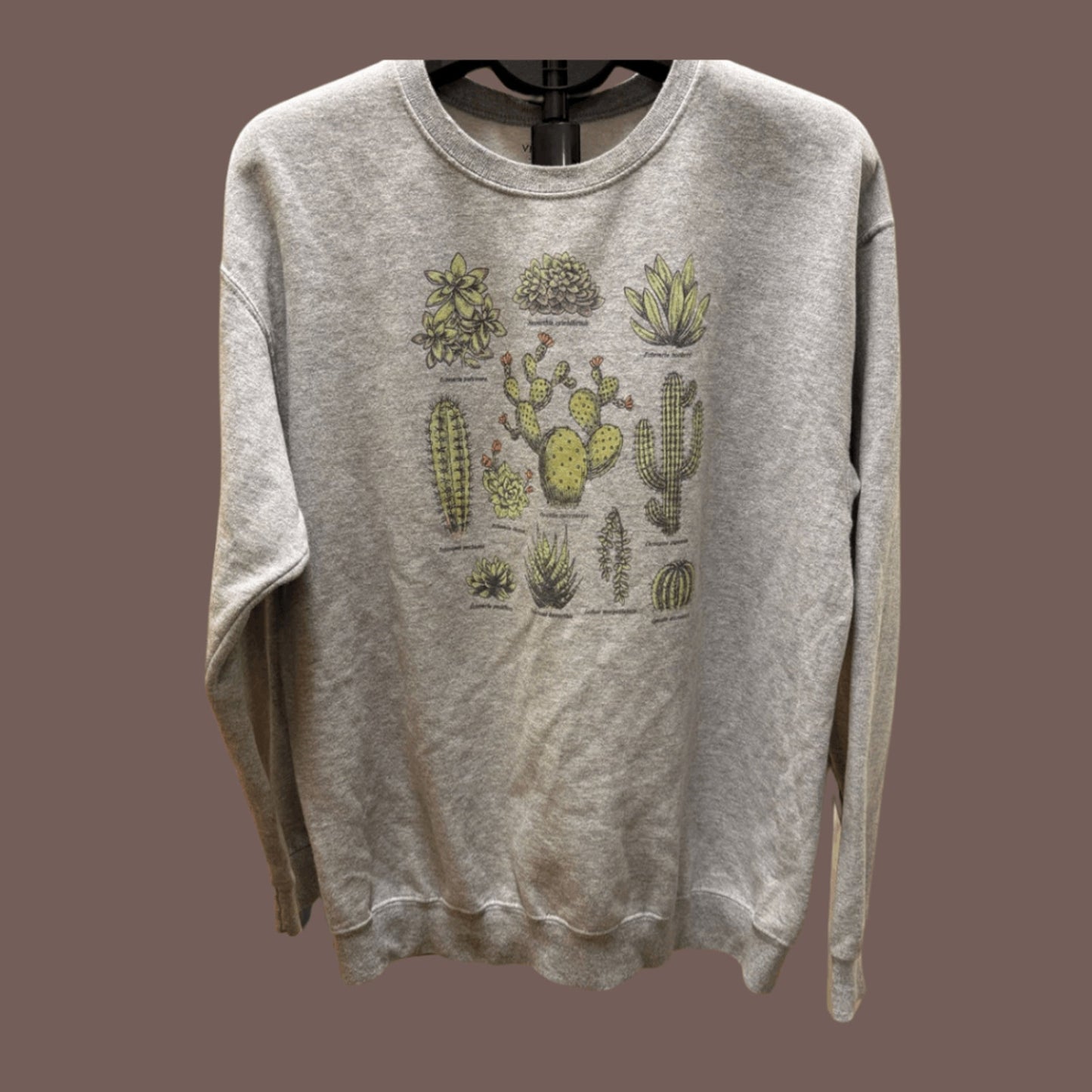 Vintage Fifth Sun Succulent Graphic Sweatshirt – Botanical Cozywear