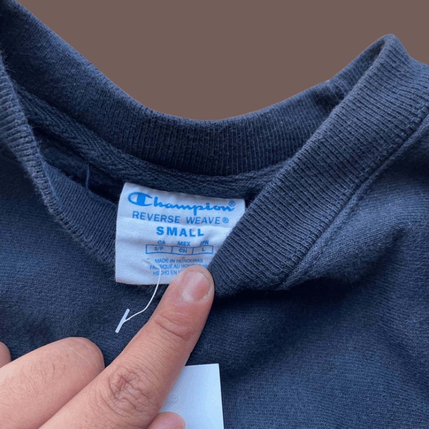 Vintage Champion Reverse Weave Crewneck Sweatshirt – 90s Athletic Classic