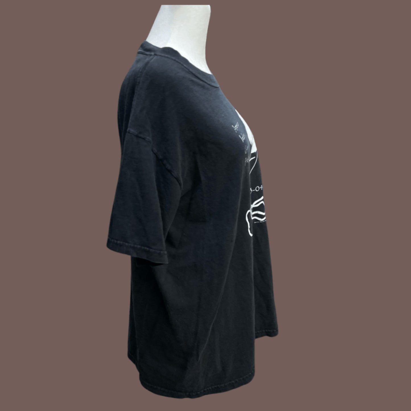 Vintage Gildan Commemorative Graphic Tee – 2000s Archive Energy