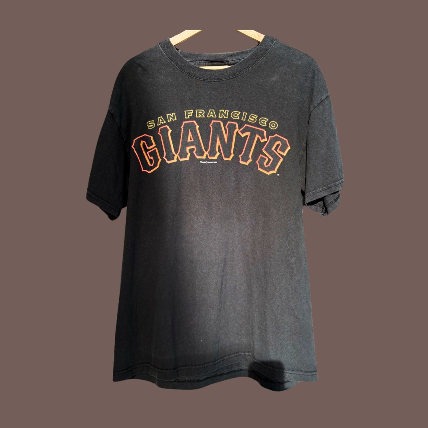Vintage San Francisco Giants Tee – 2002 MLB Fan Shirt