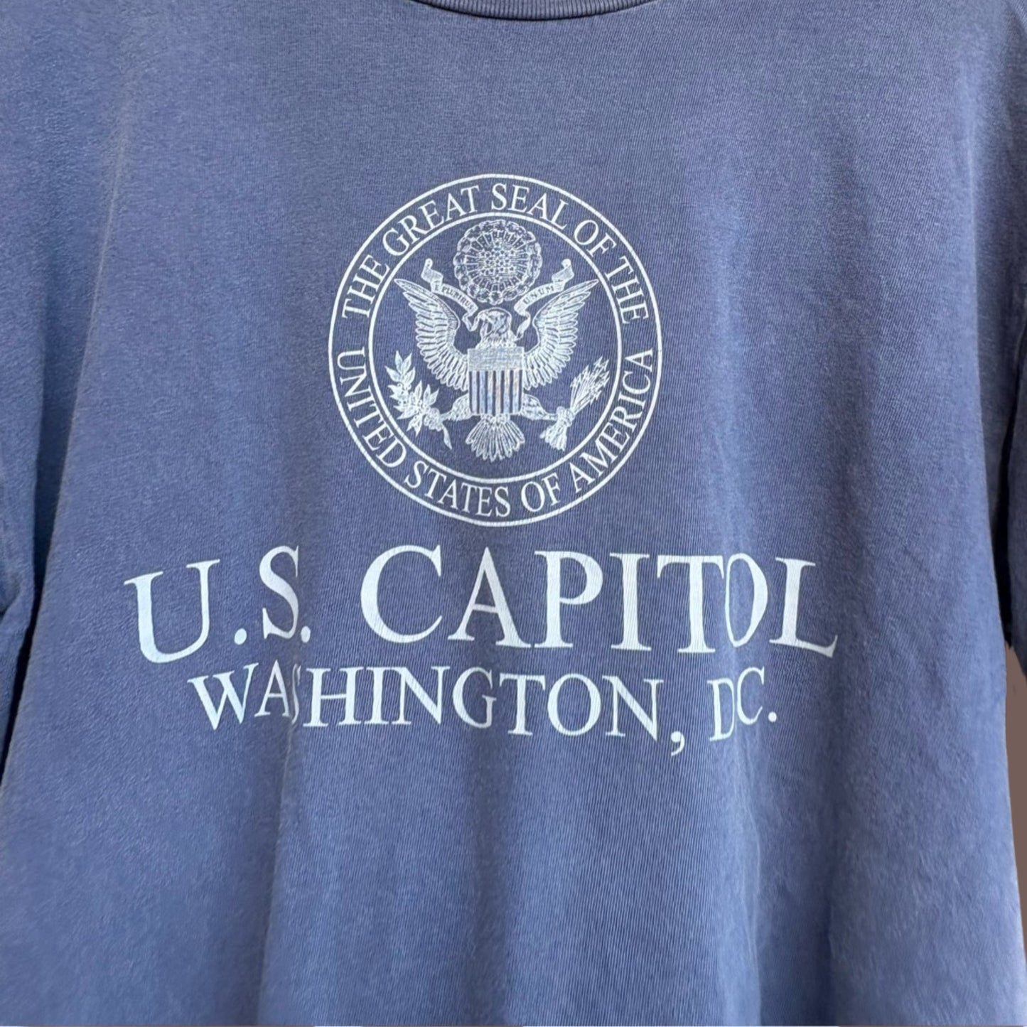 Vintage Tipsy U.S. Capitol Tee – 90s Souvenir