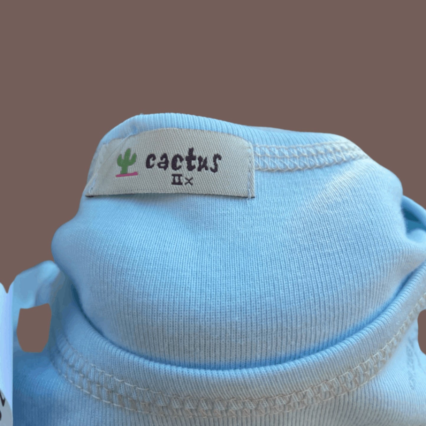 Vintage Cactus Rome Graphic Scoop Neck Top – 2000s Scrapbook Style