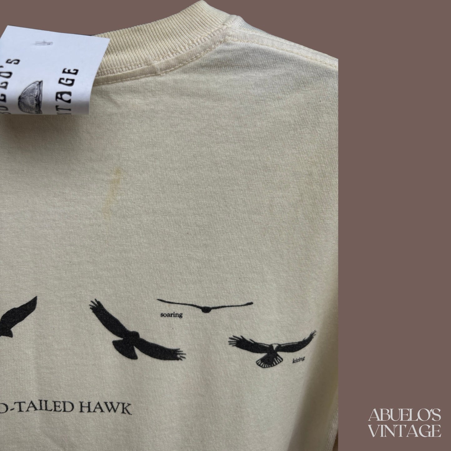 Vintage Sibley Red-Tailed Hawk Graphic Long Sleeve Tee – Wildlife Art