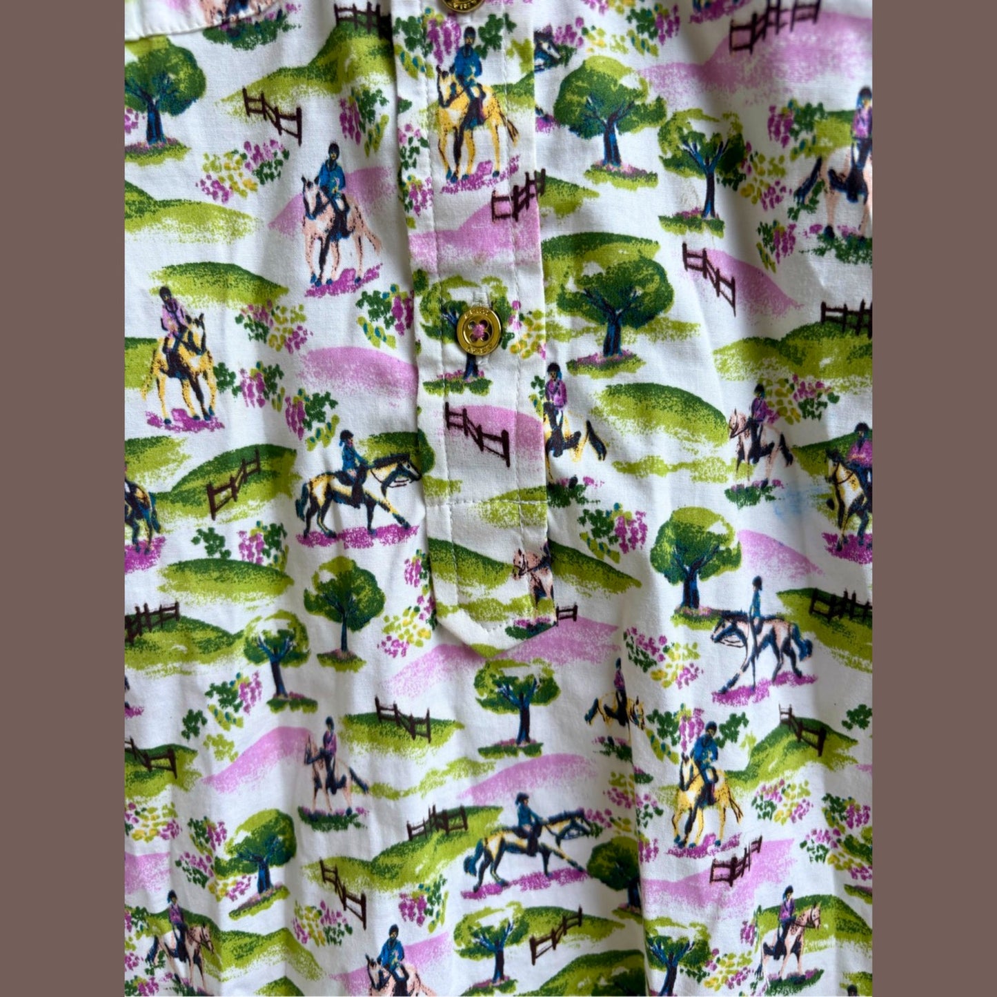 Vintage Ariat Equestrian Print Shirt – 2010s Maximal Western