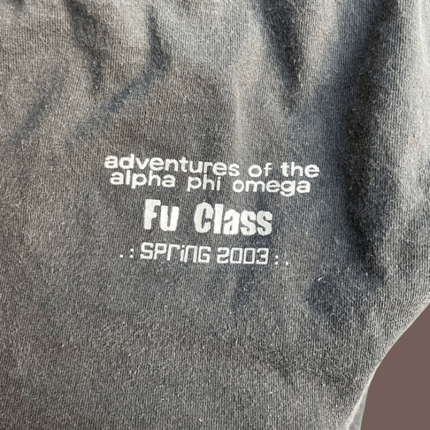 Vintage Alpha Phi Omega Tee – 2000s College Graphic