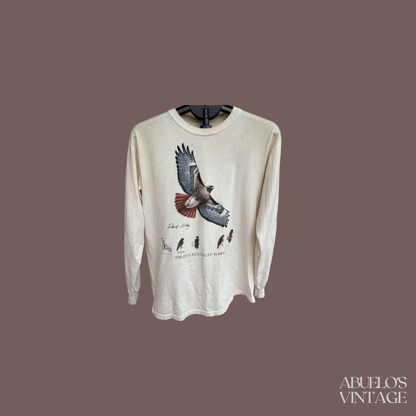 Vintage Sibley Red-Tailed Hawk Graphic Long Sleeve Tee – Wildlife Art