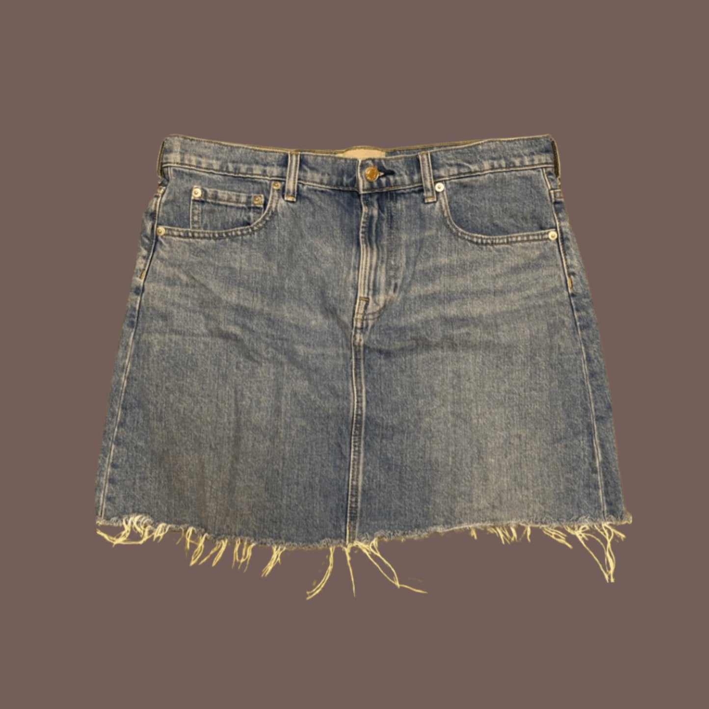 Everlane Light Wash Denim Mini Skirt – Size 12