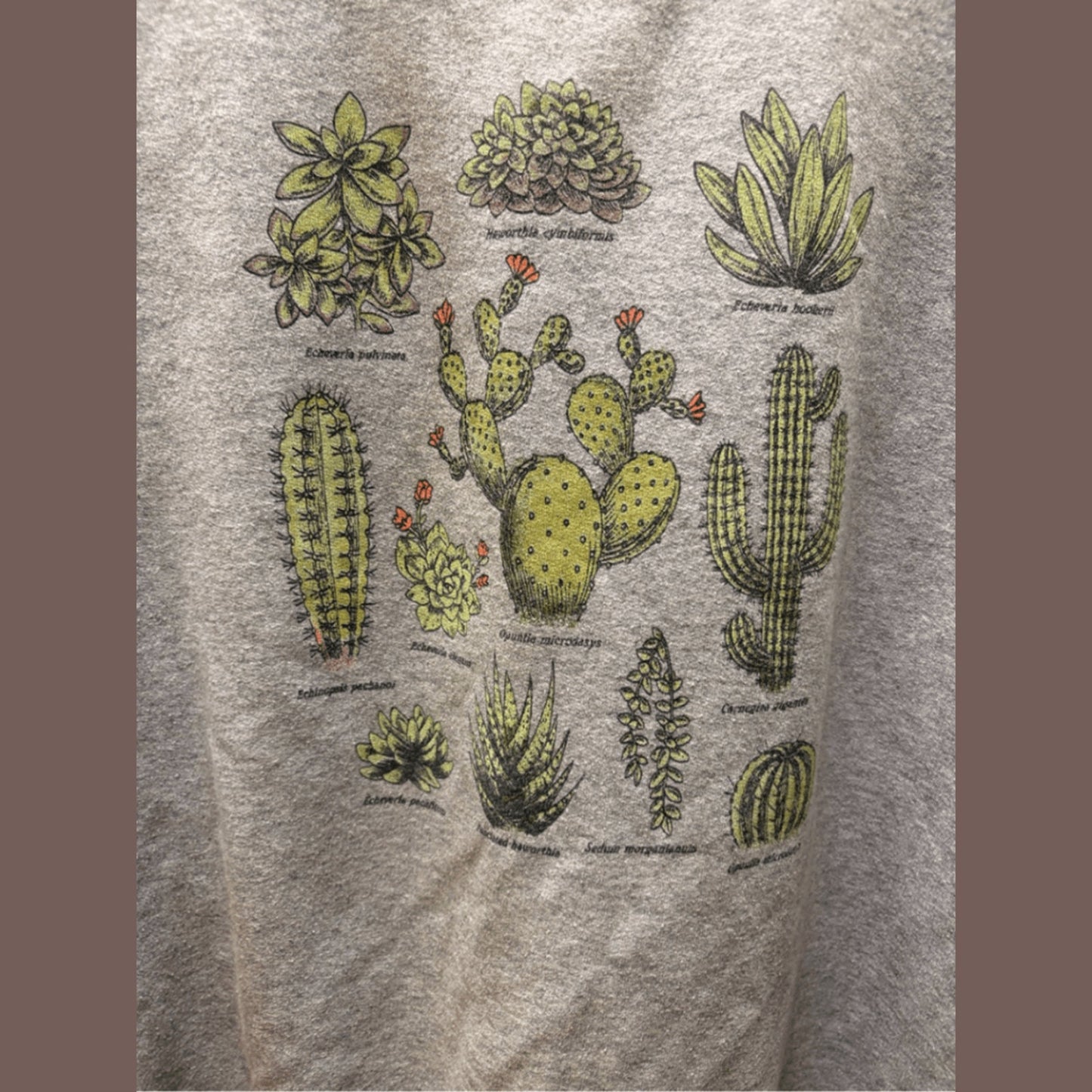 Vintage Fifth Sun Succulent Graphic Sweatshirt – Botanical Cozywear