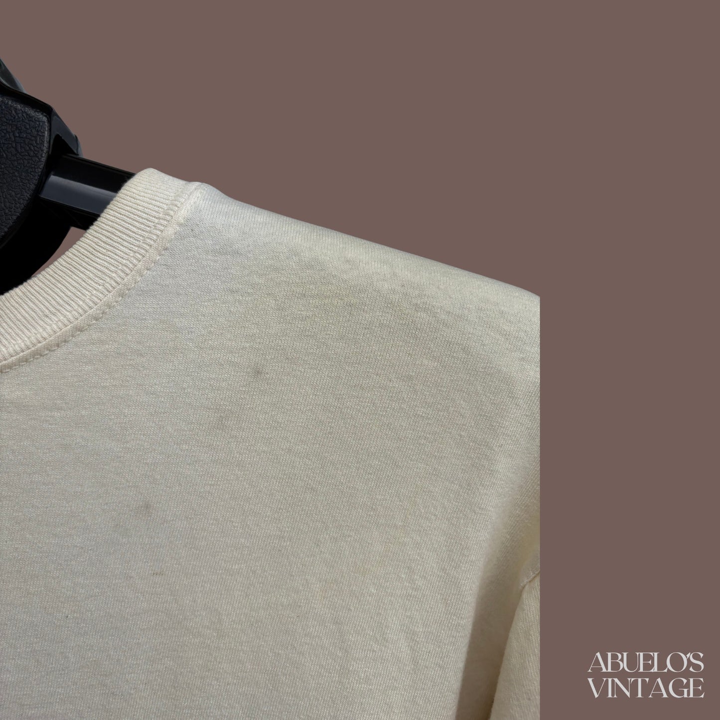 Vintage Sibley Red-Tailed Hawk Graphic Long Sleeve Tee – Wildlife Art