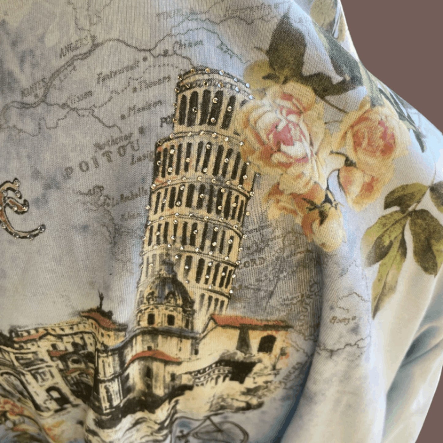 Vintage Cactus Rome Graphic Scoop Neck Top – 2000s Scrapbook Style