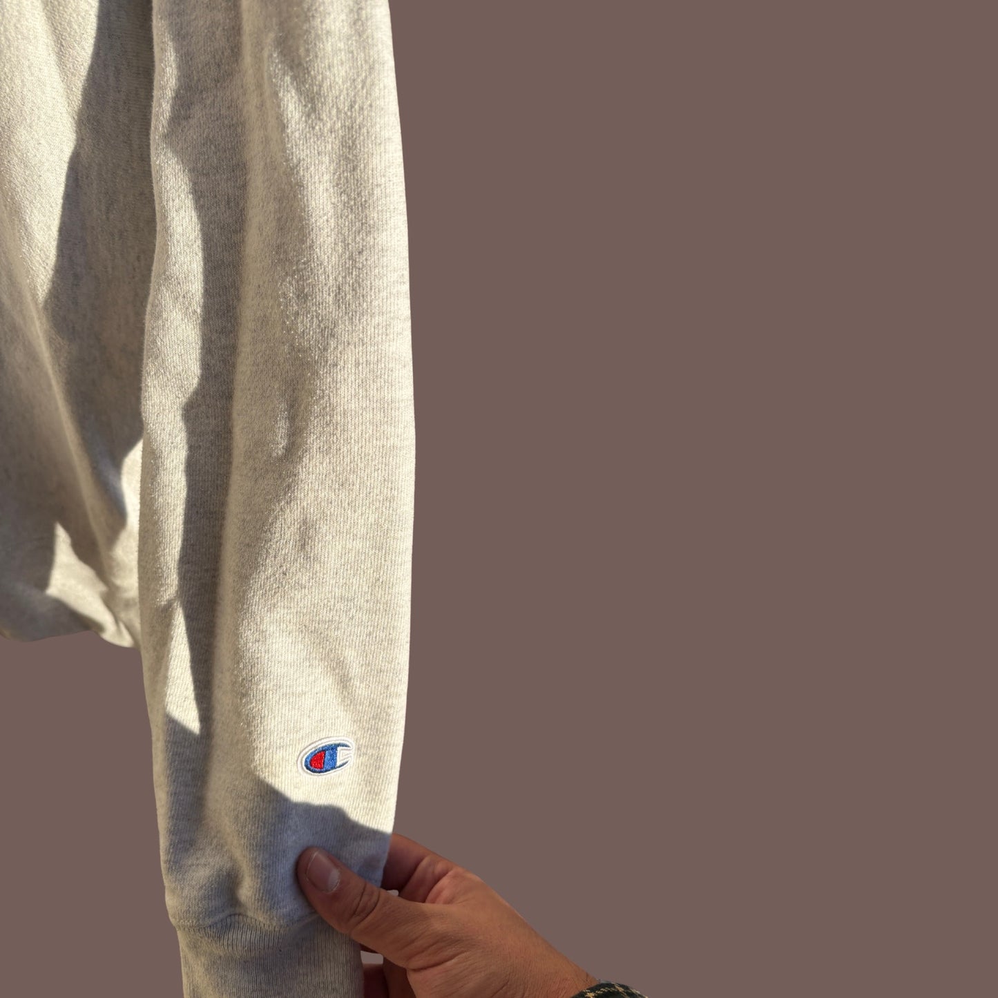 Vintage Champion Reverse Weave American University Sweatshirt – Collegiate Classic