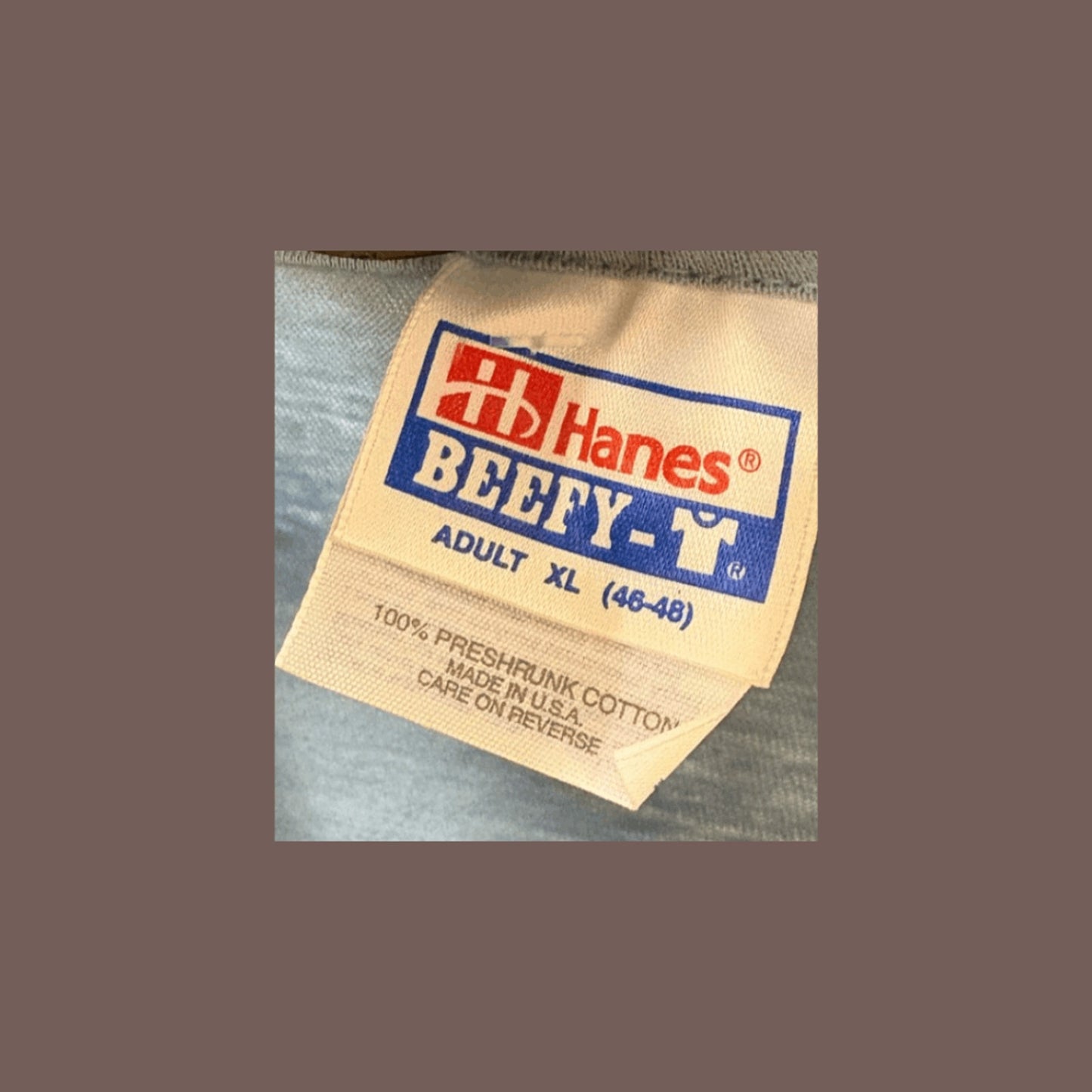 Vintage Hanes “Music From Bear Valley” Tee – 90s Nature Graphic